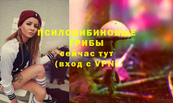 дмт Белокуриха