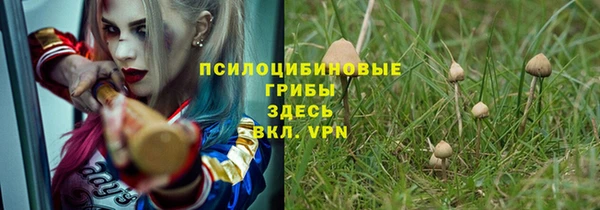 дмт Белокуриха