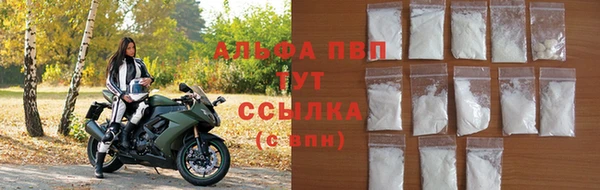 дмт Белокуриха