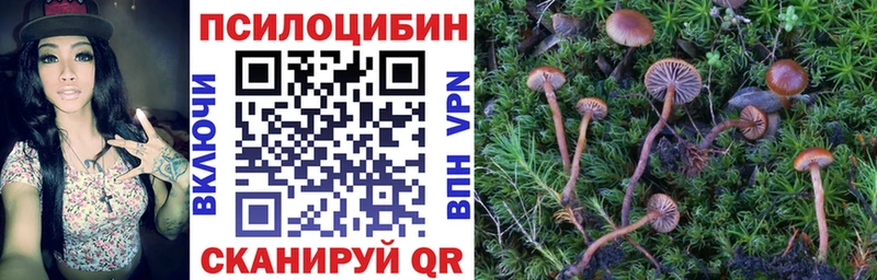 Псилоцибиновые грибы Magic Shrooms  цены   Бузулук 