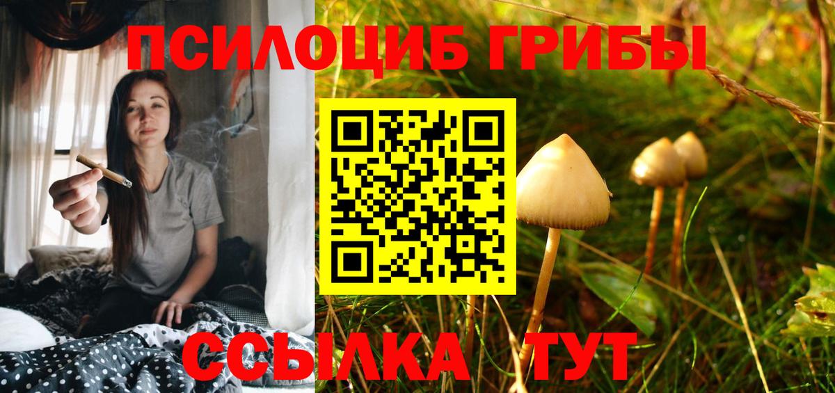 Псилоцибиновые грибы мухоморы  Вход с VPN  Псилоцибиновые грибы Psilocybe  Бузулук 